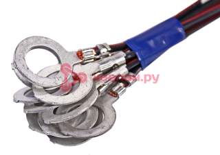 CARGEN AX59001 контакт кольцевой d 10,3 мм с проводом 1,0 мм²