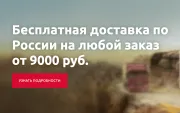 Бесплатная доставка по всей России Бесплатная доставка по всей России