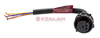 CARGEN AX5251 разъем байонет (розетка) 9800680 (6pin) 6 контактов с прямым адаптером, задних фонарей