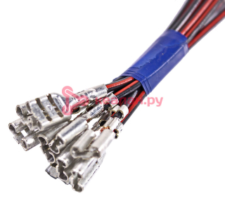 CARGEN AX38301 контакт гнездовой серии 6,3 мм обжатый с проводом 1,0 мм²