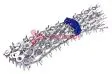 CARGEN AX597 контакт кольцевой d 6,5 мм под сечение 6 мм² CARGEN AX597 контакт кольцевой d 6,5 мм под сечение 6 мм²